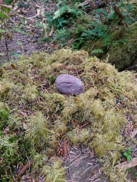 Red stone marking One Square Inch of Silence